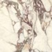 Breccia medicea lucido